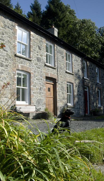 Bronfelin & Troed-Y-Rhiw Holiday Cottage Llanwrtyd Wells Exterior foto